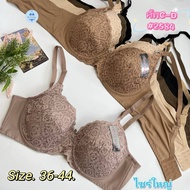 2583 (Size 36-44 Cup C-D) Large Size Bra Lace Pattern Thin Foam Sisterhood