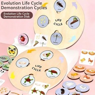 Montessori Life Cycle Learning Tray, Wooden Animal & Insect Life Cycle Board for Kids, Educational S