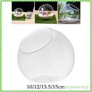 [IniyexaMY] Slant Cut Bowl Vase Glass Terrarium Container Decorative Bevel Cut Plant Bowl Micro Land