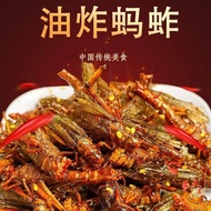 Grasshopper Sold] Fresh Fried Grasshopper Instant Snacks Grasshopper Goes with Wine Snack Insect Foo