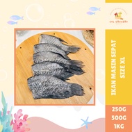 [ 250G • 500G • 1KG ] PELBAGAI IKAN MASIN TIMBANG | IKAN MASIN SEPAT SIZE XL | SIZE BESAR