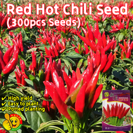 100% Original High Yield Super Spicy Red Hot Chili Seeds for Sale (Fresh 300pcs Seeds) F1 Hot Pepper