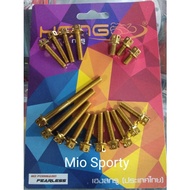 Heng Crankcase Bolts Set Mio Sporty