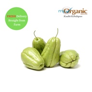 Organic Chayote Cameron Highlands 500gm± 金马仑有机佛手瓜