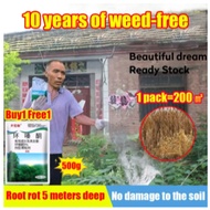 Reput akar tiadk berulang rabun rumput paling kuat murah rabun rumput cepat mati pembunuh rumai 500g