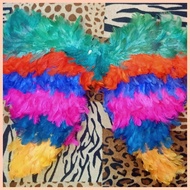 ❥ ✙ ✲ IBONG ADARNA WINGS KID SIZE
