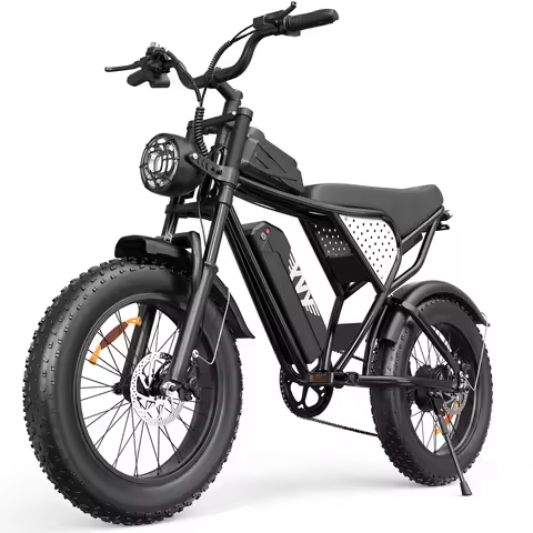 YVY 1200W 48V Electric Bike for Adults 15.6Ah Battery Off-road Touring City Trail 20*4 Inch Fat Tire