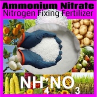 ￼Ammonium Nitrate/ Nitrogen Fixing Fertilizer/High Water Soluble/500g/1000g/Preferred Choice