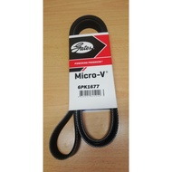 6pk1677-Fan Belt Gen2/Blm/Persona