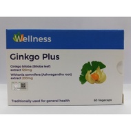 WELLNESS GINKGO PLUS 120MG 60S