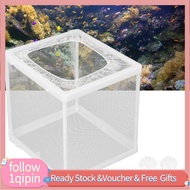 1qipin.my GLOGLOW Aquarium Fish Breeder Box  Mesh Breeding Hatchery Incubator Separation with Lockin