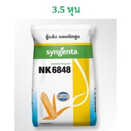 เมล็ดพันธุ์ข้าวโพด 🌽 เอ็นเค NK6848 🌽 ตัวใหม่ล่าสุด สู้แล้ง ผลผลิตสูง ปลูกถี่ เก็บสดได้ (10 กก.)