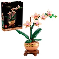 LEGO 10343 Mini Orchid 迷你蘭花 (BOTANICALS） 送花樽