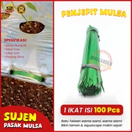 SUJEN PENJEPIT MULSA 1 IKAT 100PCS tusuk mulsa pasak mulsa  paku plastik mulsa