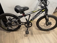 清屋 * * Trinx 20‘ 單車