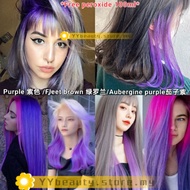 Purple Violet Professional Hair Color Set 100ml Dye Hair Warna Rambut ungu violet dye/fleet brown/as