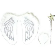 Angel wings costume angel wings
