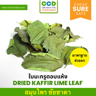 ใบมะกรูดแห้ง คุณภาพพรีเมี่ยม มาตรฐานโรงงาน GHP อย. ส่งออก dried kaffir lime leaf ชัยชาดา chaichada ใ