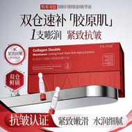 FALANQE Kolagen Dwi-Kebuk Pengunci Segar-Pelepasan Kilat Pati Menentang Usia Melembapkan Menghidrat 