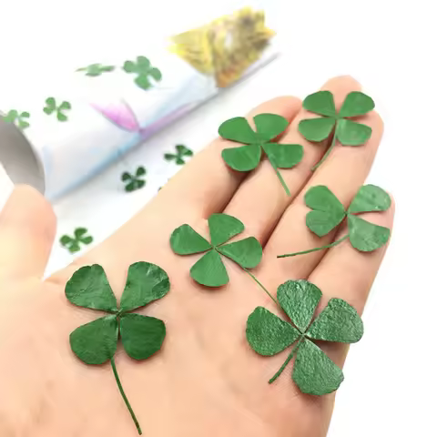 60pcs Green Pressed Dried 4-Leaf Leaves Lucky Leaf Plant Herbarium For Jewelry Pendant Ring Earrings