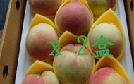 【復興鄉-日系白鳳水蜜桃 8顆裝x2盒(2斤2兩/盒)】拉拉山水蜜桃 纖維少 汁多香甜