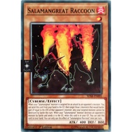 YU-GI-OH [Original Card] Salamangreat Raccoon |EN EN| Common Common Common Common Common