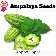 Ampalaya Long / mestisa ( 5 seeds ) - 1pack