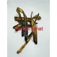 NG1 50 gram Cacing Tanah Kering / Lumcus Ruus / Obat Typus / Tipus