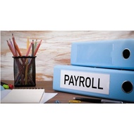 PAYROLL MANAGEMENT (Latest) Data Entry, Pay Slip & Expenses Summary (Excel), Salary Scale  Letter, m