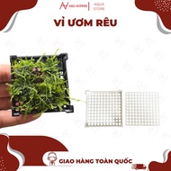 Moss Tie Blister, Moss Nursery Plastic Blister, Anti-Rust Plastic Blister| Neosupper Aqua