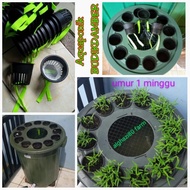 EMBER LELE 80 LITER 12 NETT POT/BUDIKDAMBER/ BUDIDAYA IKAN & AQUAPONIK - BELIEVESTORE7
