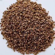 1kg Omam Seed / Biji Lemuju / Carom Seed / Ajwain