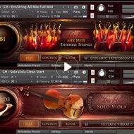 Ruge Indoor Popular Strings Chris Hein Strings Audio Source 64g Solo+Ensemble Tone