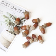 Acorn Dried Flower Hazelnut New Year's Eve Flower Christmas Flower Big Acorn DIY Material Acorn Ches