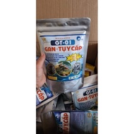 GT_01(gan _statistics)