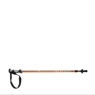 Eiger Tracking Pole 2 Section