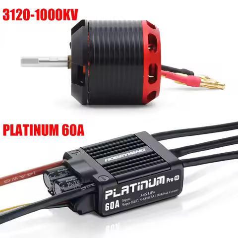 ALZRC Brushless Motor 3120-PRO 1000KV + Hobbywing 60A V4 ESC for SAB GOBLIN RAW 380 420 R42 ALZRC GO