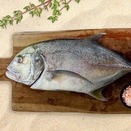 Ikan Kuwe GT Fresh Frozen 1kg