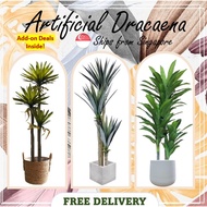 [SG] Artificial Plants Dracaena Sisalana Yuca Plant Home Deco