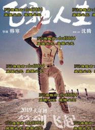 DVD 電影【飛馳人生】2019年國語 /中字