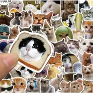 20 PCS CUTE CAT STICKER MEME