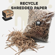 BungkusNow 500g RECYCLE Shredded Kraft Paper Cebisan Recycle Kertas For Packaging Purposes Shredded 