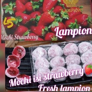 mochi kaswari lampion sukabumi