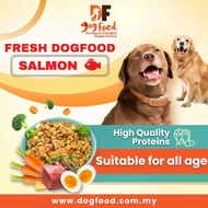 DF Salmon Flavor Fresh Dog Food Healthy Pet Food (10x Packs)