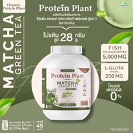 Protein Plant โปรตีนแพลนท์ สูตร 3 ((มี 11 รสชาติ)) ขนาด 2.27 kg./กระปุก (5 ปอนด์ 5LBS) ทานได้ 45 ครั