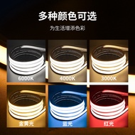 LED Silicone Light Strip Embedded Driver-Free 24v/12v/220V