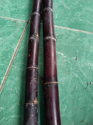 batang tebu hitam/tebu ireng original per 1kg