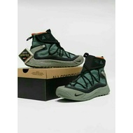 Nike Air ACG Terra Antarctic Gore-tex Shoes