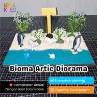 Diorama package model animal artic polar animal diorama bioma tundra