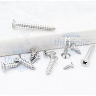 [10 Pieces]- KA Pointed Screw M4 x 35mm 304